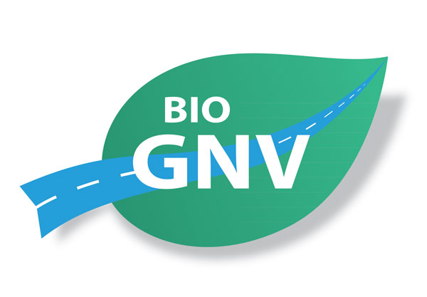 Logo bioGNV web