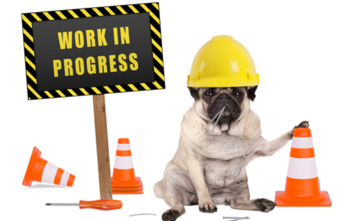 pug dog with constructor safety helmet and yellow and black work