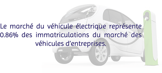 flotte de véhicules électriques