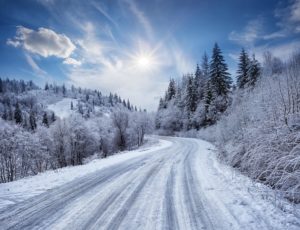 AdobeStock 175184572 min scaled