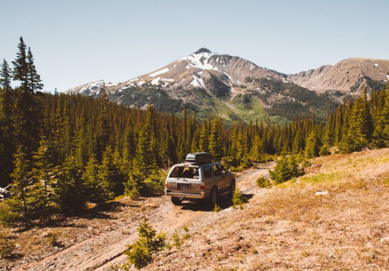 Car driving on a pathway in the middle of trees with mountain and a clear sky in the background