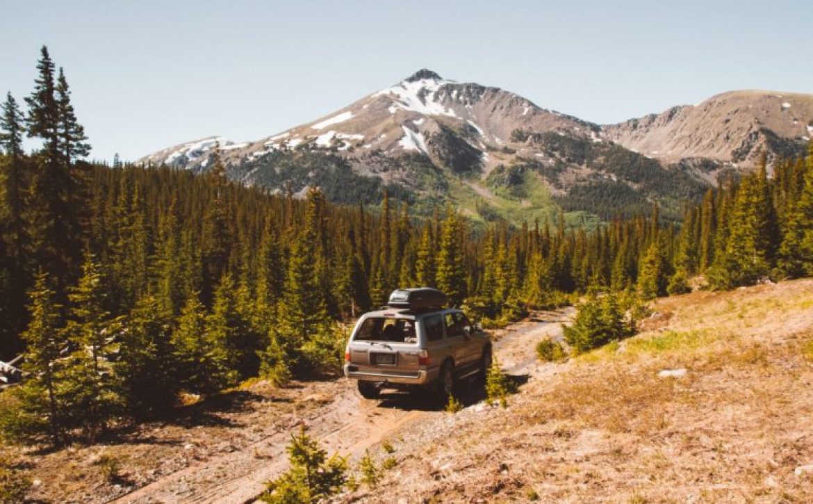 Car driving on a pathway in the middle of trees with mountain and a clear sky in the background