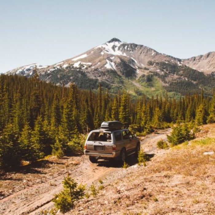 Car driving on a pathway in the middle of trees with mountain and a clear sky in the background